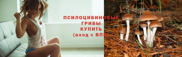 бутират Аркадак